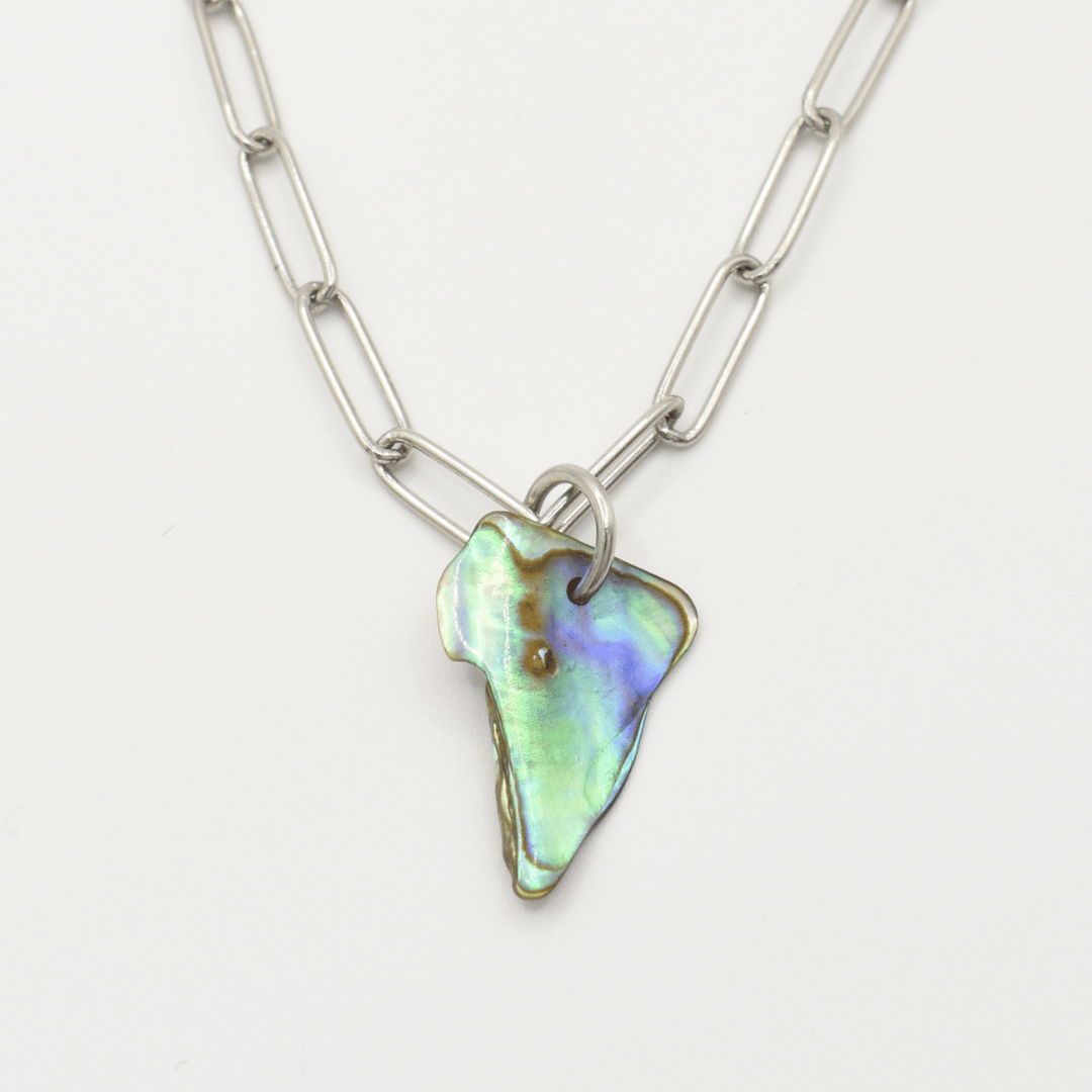 Paua Favorieten