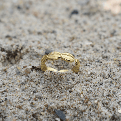 Ring | Gold Cowrie