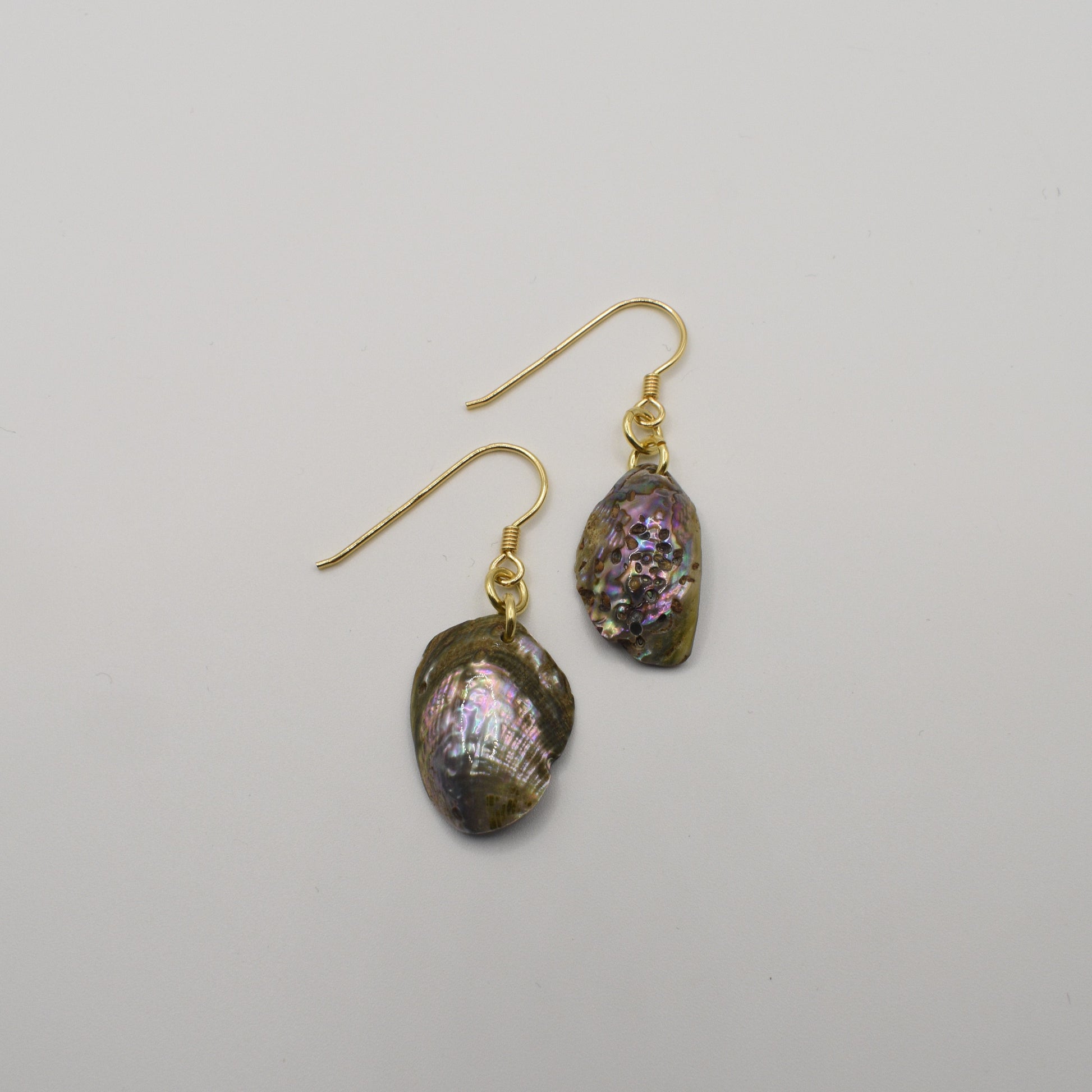The Salty Dreamers Earrings | Paua Shell Mahaki feature irregular, iridescent pāua shell pendants on gold-plated silver hooks, shown against a plain white background.