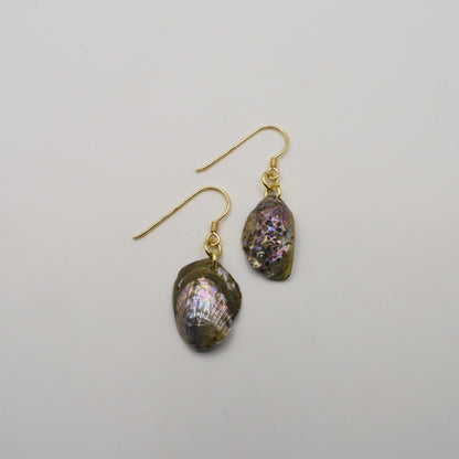 The Salty Dreamers Earrings | Paua Shell Mahaki feature irregular, iridescent pāua shell pendants on gold-plated silver hooks, shown against a plain white background.